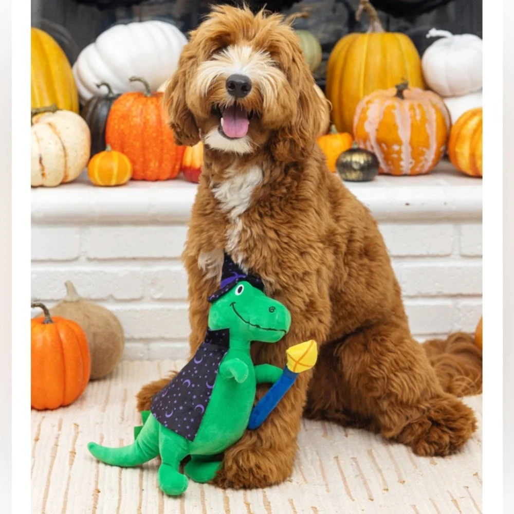 NWT FRINGE STUDIO “SPELL-A-SAURUS” HALLOWEEN T-REX PLUSH DOG TOY *LOUD SQUEAKER